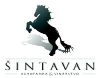 sintavan-logo