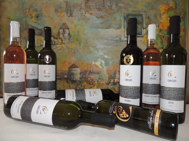 Vinohradníctvo a vinárstvo Čavojský - Vína